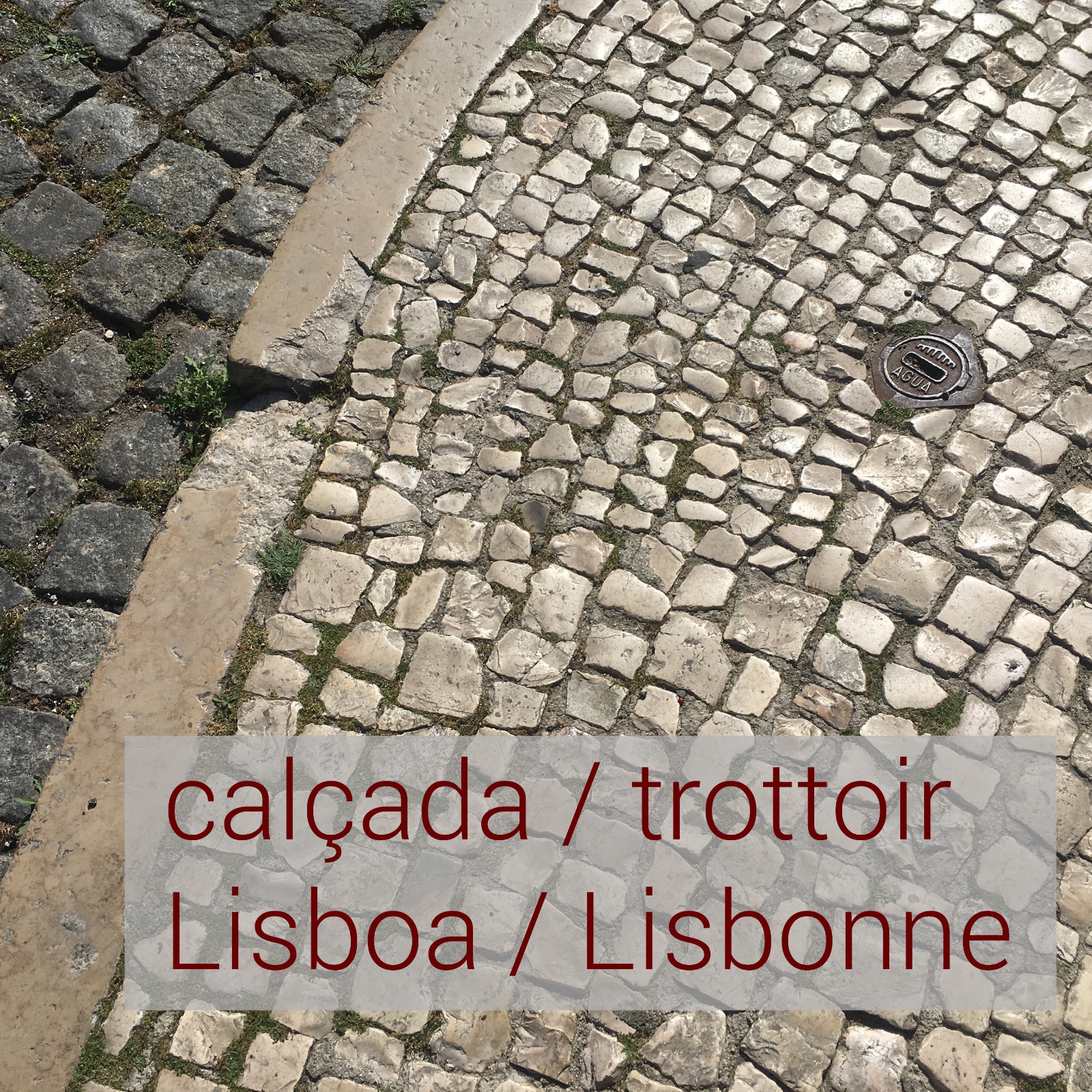 Lisbonne trottoir IMG 4630 1red